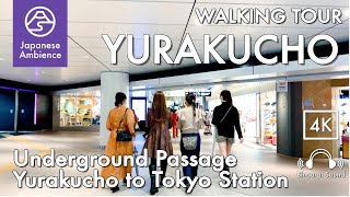 inside Walk in underground passage from Yurakucho to Tokyo Station 4KBinaural Walking Tour [upl. by Macey]