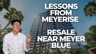 Lessons from Meyerise  Your Guide to Buying at Meyer Blue [upl. by Kuo]