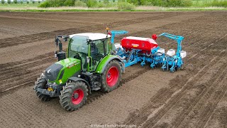 Mais zaaien  Drilling maize  Mais legen  NEW Fendt 313  NEW Monosem NXM  Mais 2021 [upl. by Petrina]