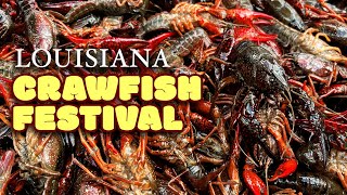 FOOD TOUR Through Louisianas LARGEST Crawfish Festival [upl. by Hamford]