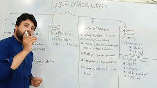 Hb electrophoresis Test  Procedure and Importance of Hb electrophoresis Test [upl. by Stelle37]