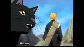 Bleach ending  9 [upl. by Adnaval]