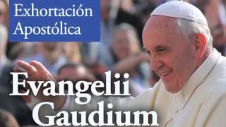 Evangelii Gaudium Audio Capítulo 1 en español [upl. by Amor296]