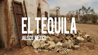 Tequila Jalisco México  Elaboración y procesos [upl. by Michale]