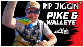 Kayak Ripping Pike and Walleye with Lipless Crankbaits [upl. by Eiboh]