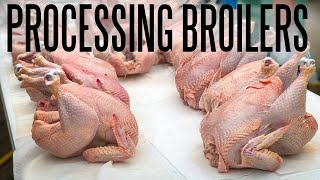 How To Process Chickens At Home [upl. by Odraude692]