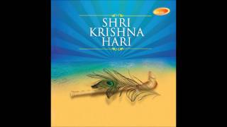 Shri Krishna Govind Sharanam  Shri Krishna Hari Hariharan [upl. by Noella]