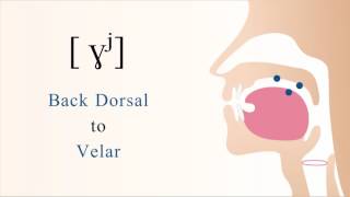 ɣʲ  voiced unaspirated palatalized dorsal velar fricative [upl. by Ennovehs]