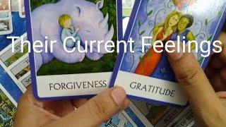 No Contact Current feelings Tarot Collective Timeless reading [upl. by Oaks]