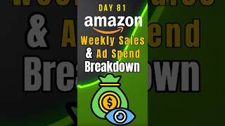 Weekly Sales amp Ad Spend Breakdown  Ecommerce Journey Day 81 [upl. by Solram849]