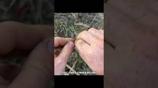 How To Make STRONG Cattail Cordage survival bushcraft survivaltips camping outdoors nature [upl. by Billat]