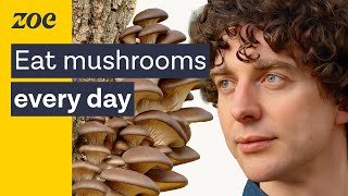 Mushrooms as medicine Uncovering the health secrets of fungi  Merlin Sheldrake amp Prof Tim Spector [upl. by Yevrah]