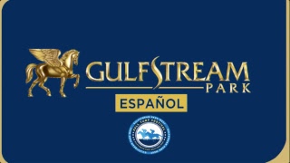 Gulfstream Park Live Stream [upl. by Cris]