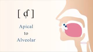 ɗ̥  ƭ  unvoiced apical alveolar implosive stop [upl. by Enautna197]