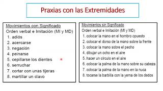 Apraxias [upl. by Erreit]