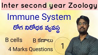 Bcells  Bకణాలు  Inter second year Zoology  Immune system 4 Marks Questions [upl. by Sargent]