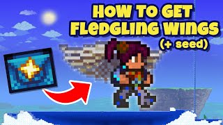 How to get FLEDGLING Wings in Terraria  Seed [upl. by Yema]