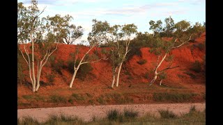 Australian Drylands Rivers  Alive and Kicking In Summary [upl. by Rehtul]