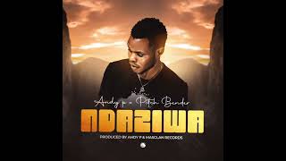 Andy P x Pitch BenderNdaziwaOfficial Audio [upl. by Aiceila]