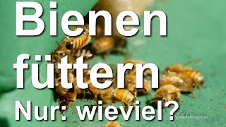 Bienen auffüttern  aber wie viel Winterfütterung  Gewichte der Beuten und Wiegen der Völker [upl. by Hepsibah]