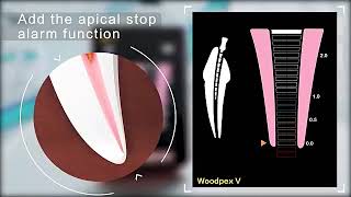 localizador apical woodpex 5 de woodpecker 5ta generacion [upl. by Tronna]