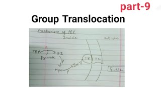 Group translocation  mechanism of PEP  part 9 Muskan yadav [upl. by Barncard]