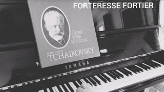 Theme from Marche Slave TCHAIKOVSKY [upl. by Adnawak674]