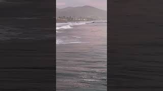 Cayucos pier jump surfsup surf pacific jump waves [upl. by Cresida]