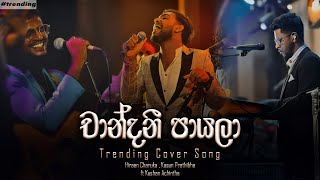 Chandani Payala  චාන්දනී පායලා  Cover Song By  Hiraan Charuka Kasun Prathibha ft Kushan Achintha [upl. by Sivad763]