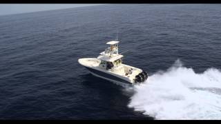 Boston Whaler 350 Outrage [upl. by Otanod898]