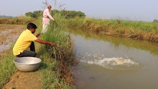 Fishing Video  The old grandfather knows many tricks of fishing in the village canal [upl. by Mushro]