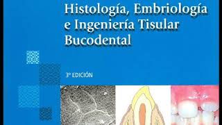 Histología Embriología e Ingeniería Tisular Bucodental  Gómez de Ferraris PDF [upl. by Stormi]