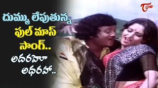 Rangoon Rowdy Movie Video Songs  O jabili Song  Krishnam RajuJayaprada  Old Telugu Songs [upl. by Otrevlig]