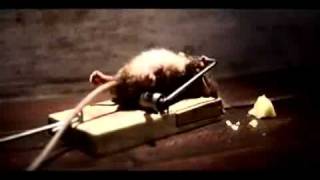 Rocky the rat commercial [upl. by Gildas]