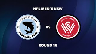 NPL Men’s NSW Round 16 Sutherland Sharks FC v Western Sydney Wanderers FC [upl. by Ingeborg]