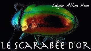 Livre audio  Le Scarabée dOr Edgar Allan Poe 1ère Partie [upl. by Mehsah]