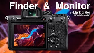 Sony ViewFinder Finder and Monitor Settings [upl. by Ecinerev]