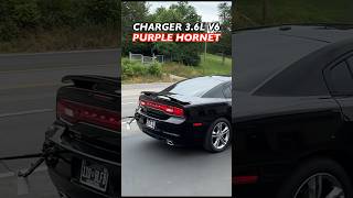 2013 Dodge Charger AWD 36L V6 w PURPLE HORNET GLASS PACKS [upl. by Esiole491]