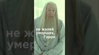 …но жизнь вообще несправедлива северусснейп harrypotter гаррипоттер дамблдор хогвартс [upl. by Ellerd]