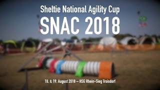 1819AUG2018 – SNAC 2018 – Nadine amp Chaim [upl. by Annovahs441]