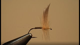 Fly Fishers International Silver Award Fly Tying Ginger Quill [upl. by Noella]