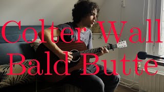 Colter Wall  Bald Butte Cover By Ruben Eloff [upl. by Aicirtap892]