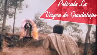 Película quotLa Virgen de Guadalupequot Narra la Historia de las Apariciones de la Virgen de Guadalupe [upl. by Ayra]