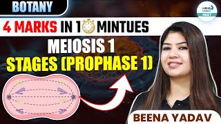 Stages of Prophase 1 of Meiosis 1  🎯4 Marks in ⏰ 10 Minutes  Class 11 botany  NEET 2025 [upl. by Hennebery]