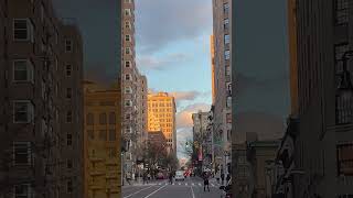 golden light and winter sky evening looking up fifth avenue new york nyc [upl. by Held225]