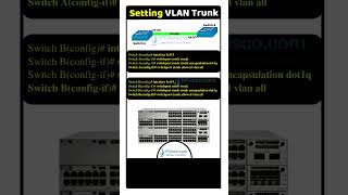 BEST VLAN TRUNKING CONFIG ✨✨ Network Configs  IPCiscocom packettracer [upl. by Atiuqram]