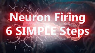 Neuron Firing in 6 Simple Steps [upl. by Mordecai294]