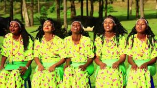 New Afan oromo music 2015 Dammitu Gabbitaa dhiigni keenya tokko [upl. by Nnaitsirk]