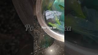 Blue Pea Flower Tea bluepea bluetea sangupoo butterflypeatea tamil tea trending short food [upl. by Enoved]