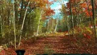 Change of Seasons TimeLapse [upl. by Frannie]